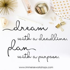 photography business goals