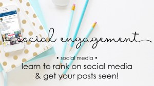 social media rank