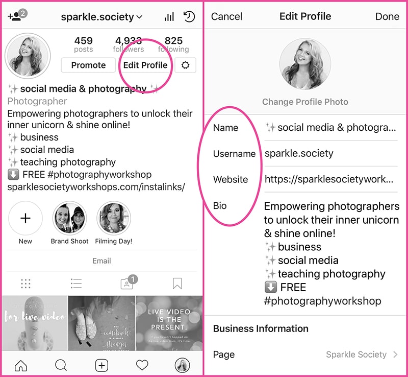 instagram bio blog sparkle society