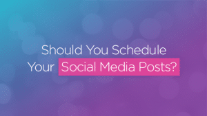 schedule social media sparkle society