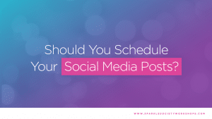 schedule social media sparkle society